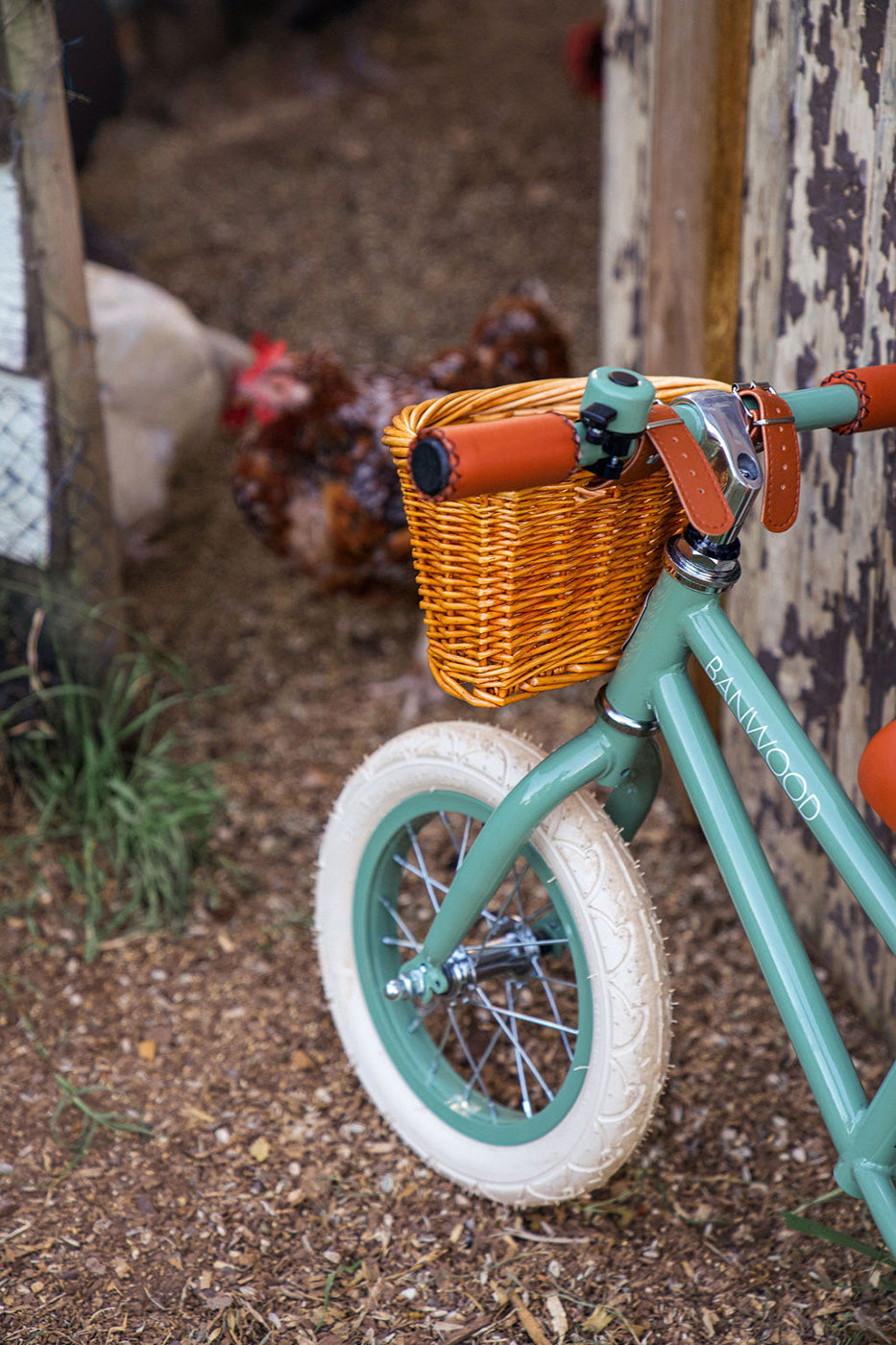 Banwood Eco Balance Bike - Forest - All Mamas Children