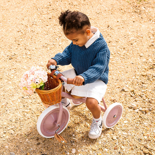 Banwood Trike - Dusty Pink - All Mamas Children