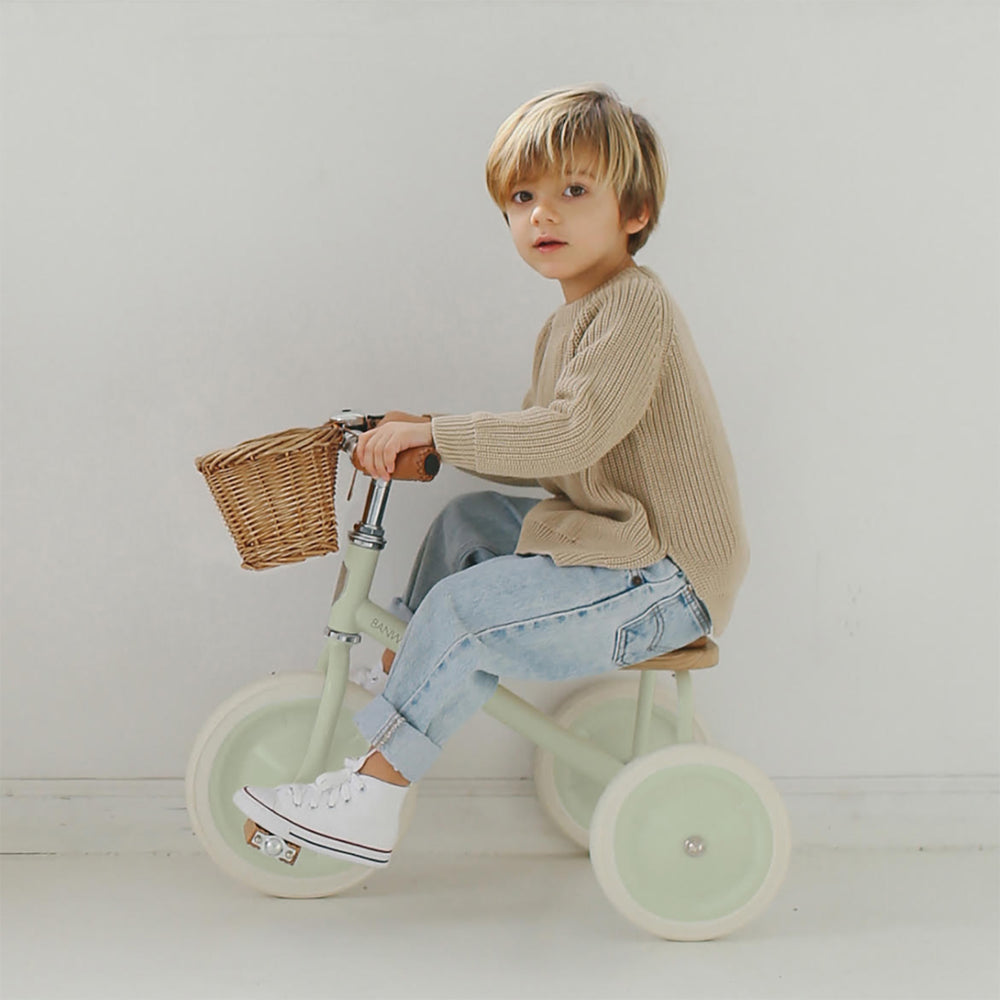 Banwood Trike - Mint - All Mamas Children